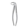 FORCEPS ADULTO #13 PICO DE LORO GRUESO PARA CANINOS Y PREMOLARES INFERIORES
