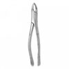 FORCEPS ADULTO #150 PARA INCISIVOS PREMOLARES Y RAICES SUPERIORES