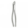 FORCEPS ADULTO #151 PARA INCISIVOS PREMOLARES Y RAICES INFERIORES