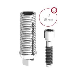 PILAR TEMPORAL HIS DSP