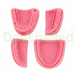 MODELO PRACTICA SUTURA DENTAL ENCIA BLANDA